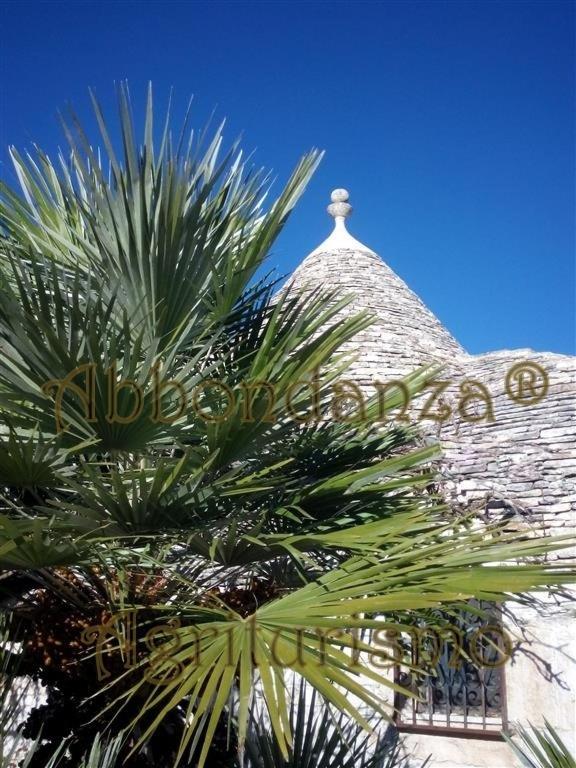 Agriturismo Abbondanza Villa Alberobello Buitenkant foto
