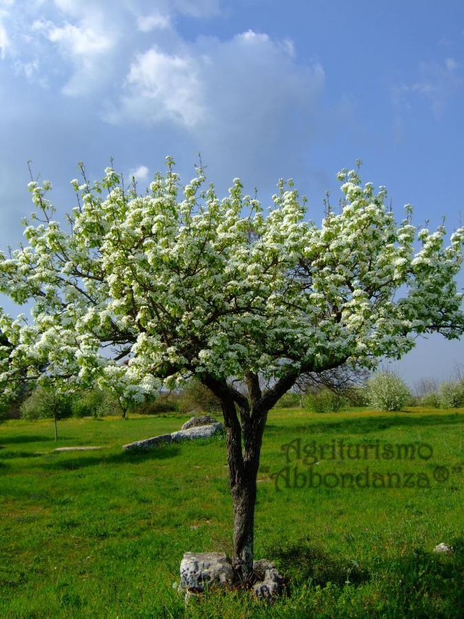 Agriturismo Abbondanza Villa Alberobello Buitenkant foto