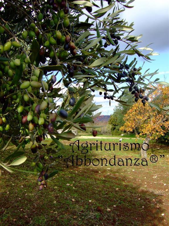 Agriturismo Abbondanza Villa Alberobello Buitenkant foto