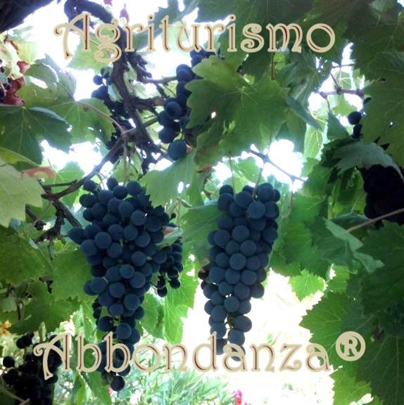 Agriturismo Abbondanza Villa Alberobello Buitenkant foto